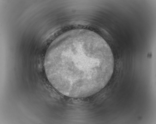 X0000112100774200909151159