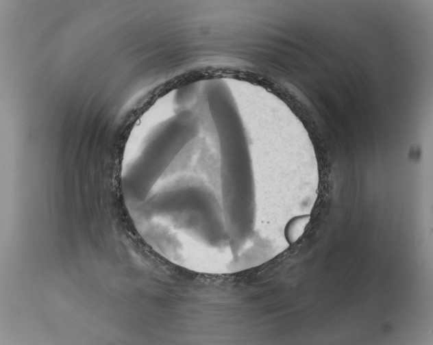 X0000112100775200909151159
