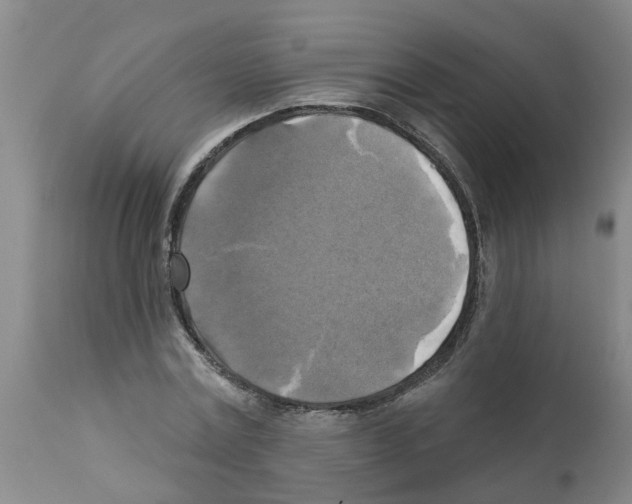 X0000112100779200909151159