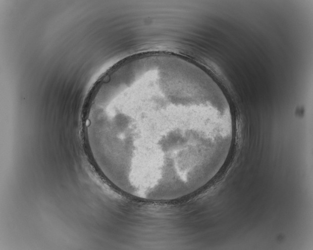 X0000112100780200909151159