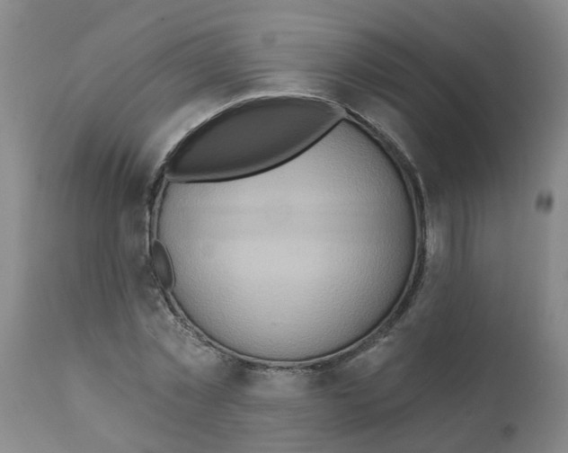 X0000112100781200909151159
