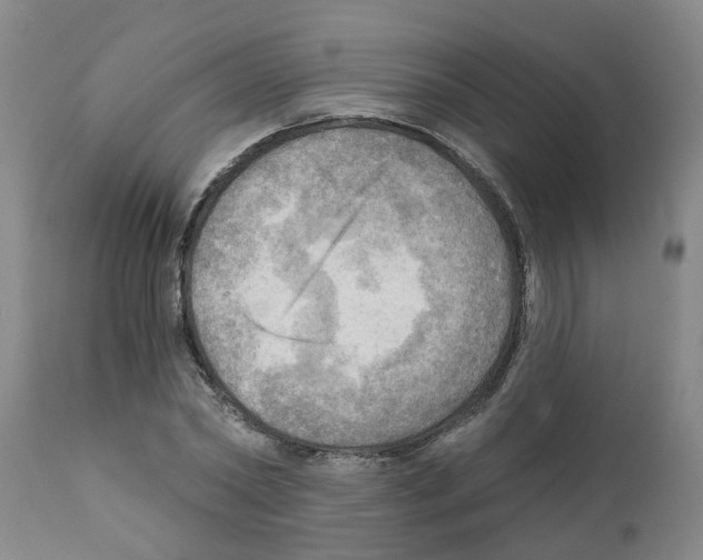 X0000112100782200909151159