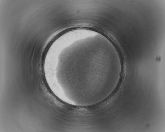 X0000112100784200909151159