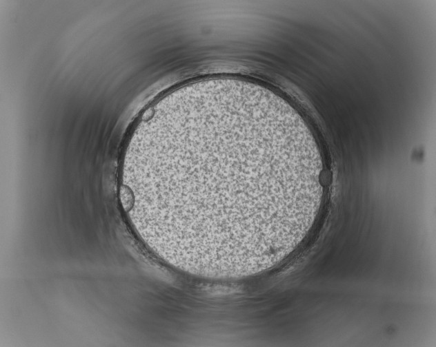 X0000112100786200909151159