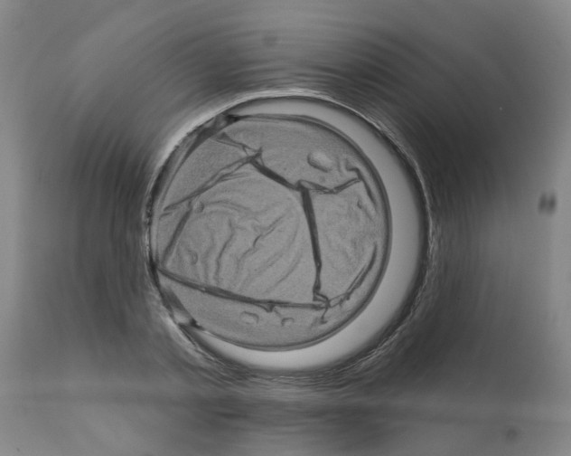 X0000112100789200909151159