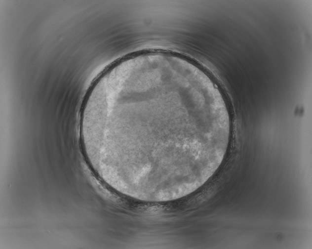 X0000112100791200909151159
