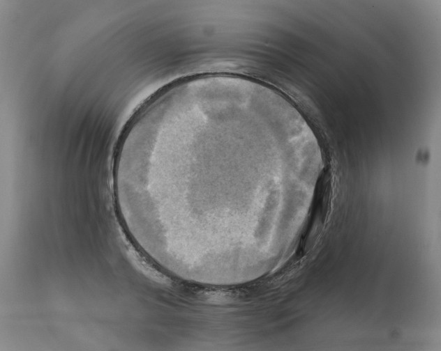 X0000112100792200909151159