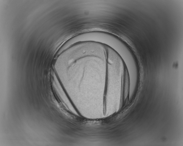 X0000112100793200909151159