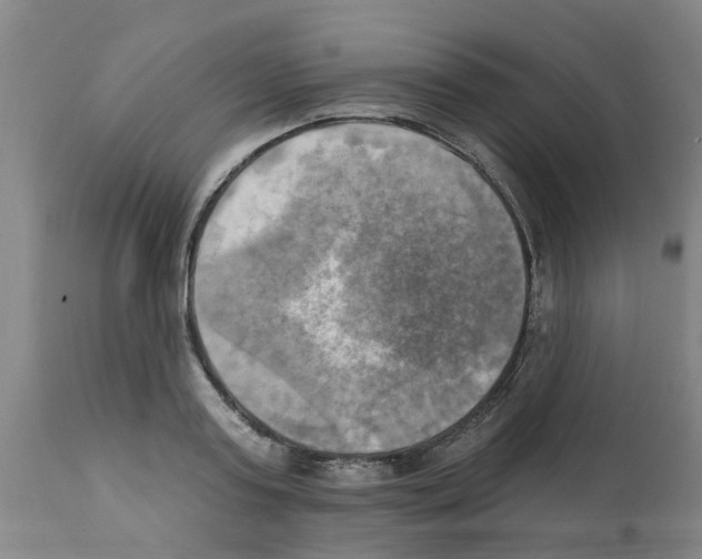 X0000112100795200909151158