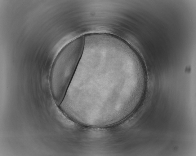 X0000112100797200909151158