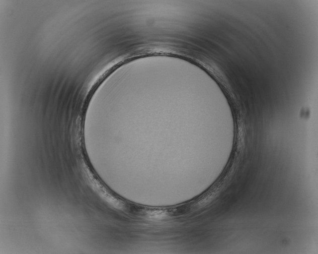 X0000112100798200909151158