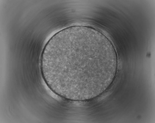 X0000112100803200909151158