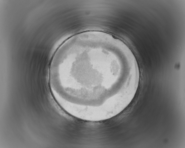 X0000112100804200909151158