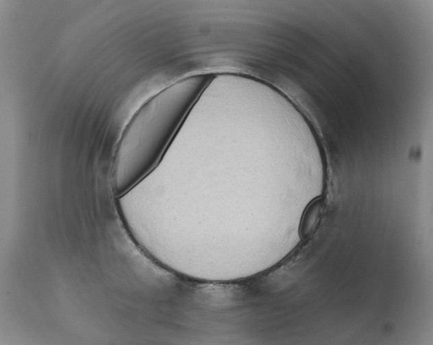 X0000112100805200909151158