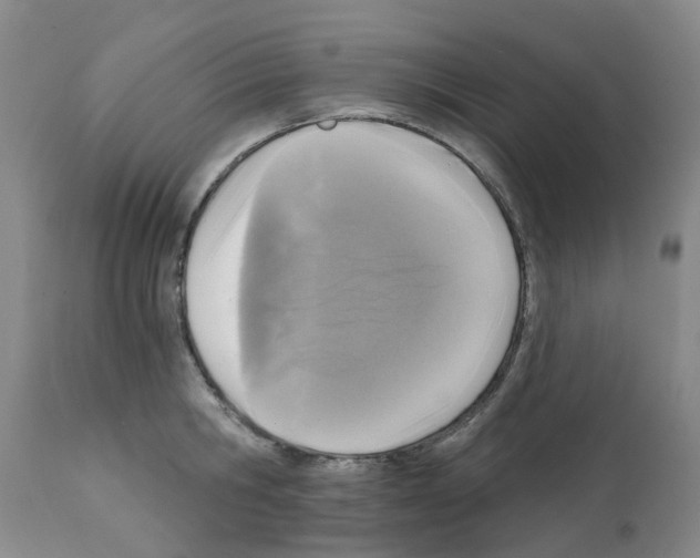 X0000112100806200909151158