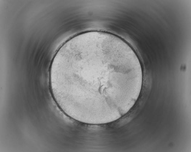 X0000112100807200909151158
