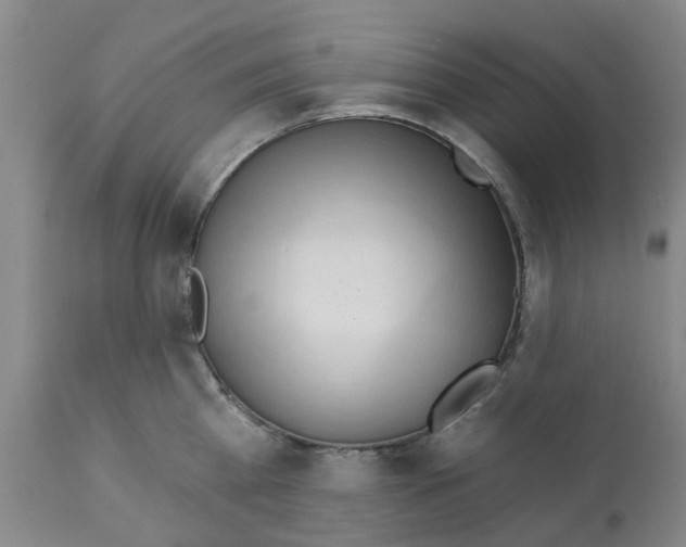 X0000112100809200909151158