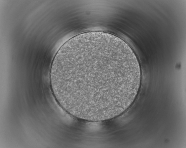X0000112100810200909151158