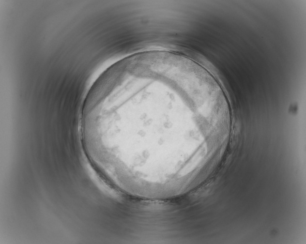 X0000112100811200909151158