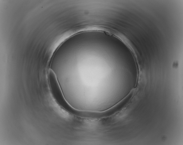 X0000112100813200909151158
