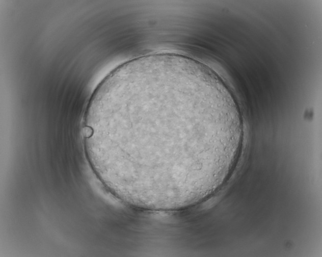 X0000112100814200909151158