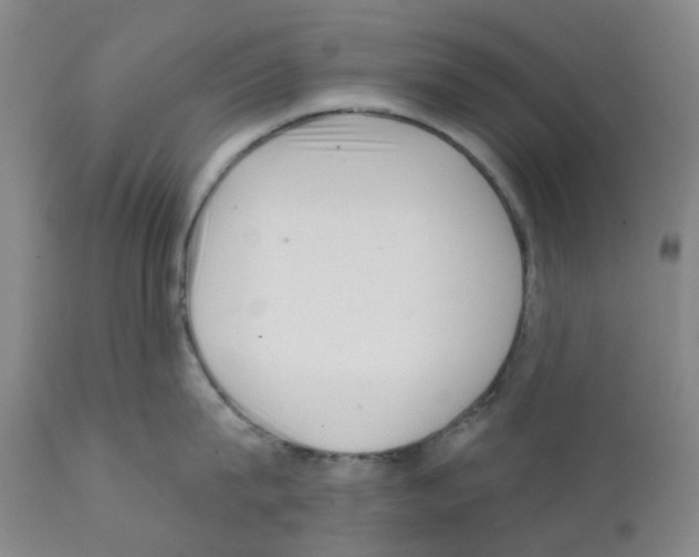 X0000112100815200909151158
