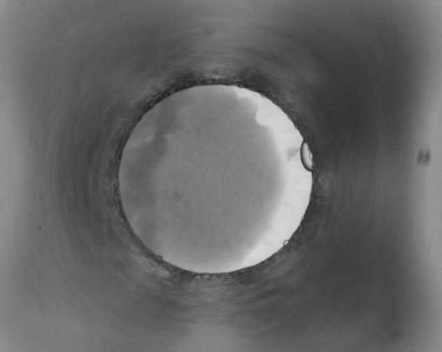 X0000112100817200909151157