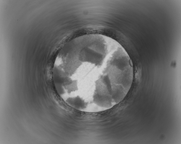 X0000112100819200909151157