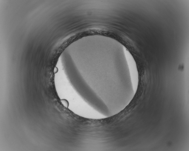 X0000112100822200909151157