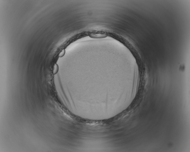 X0000112100823200909151157
