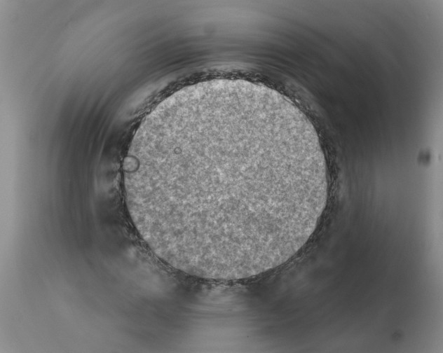 X0000112100824200909151157