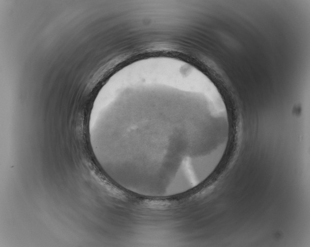 X0000112100825200909151157
