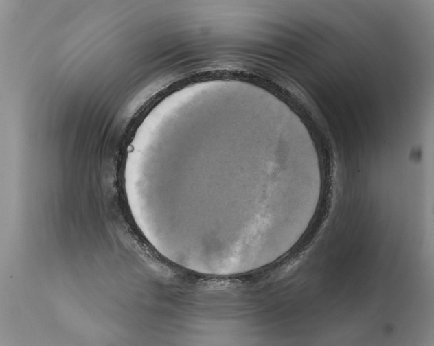 X0000112100826200909151157