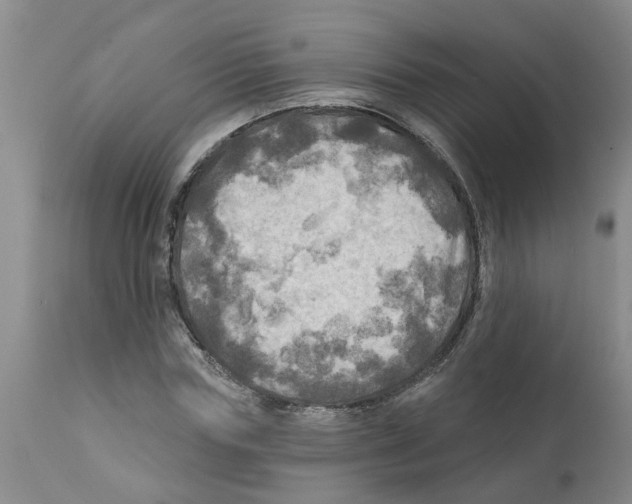 X0000112100827200909151157