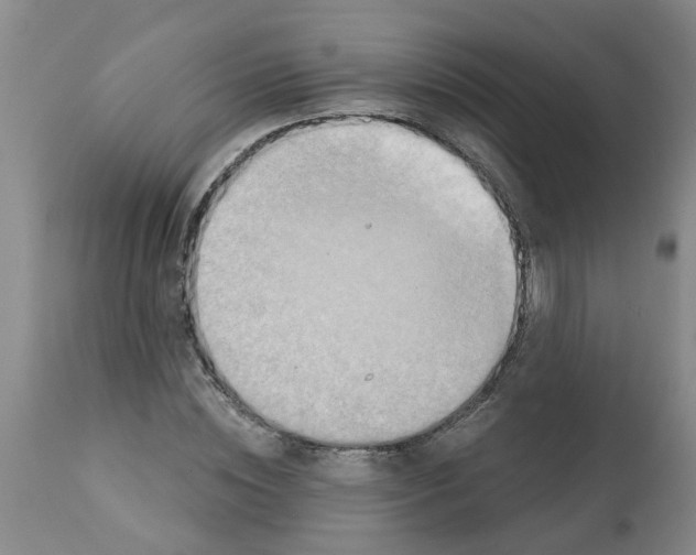 X0000112100828200909151157