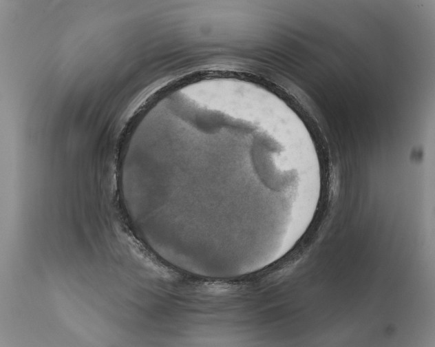 X0000112100829200909151157