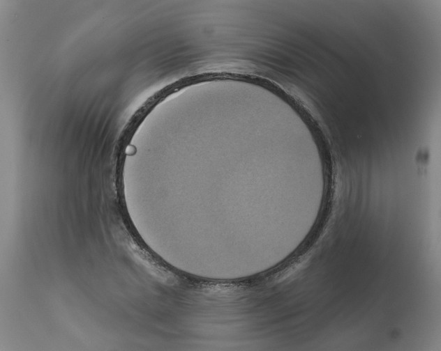 X0000112100830200909151157