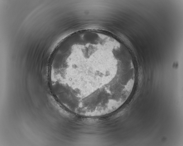 X0000112100831200909151157