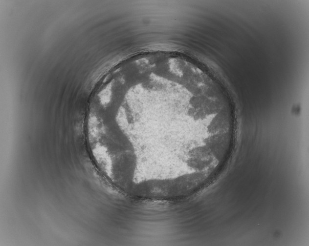 X0000112100833200909151157