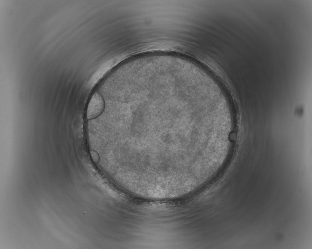 X0000112100834200909151157