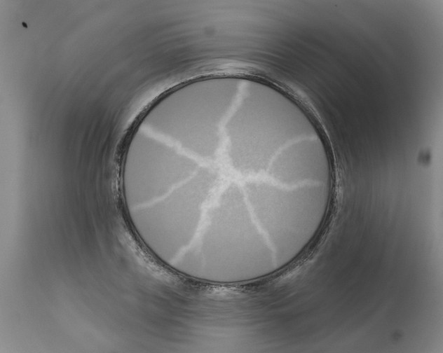 X0000112100835200909151157