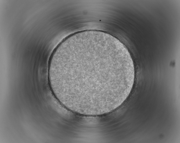 X0000112100836200909151157