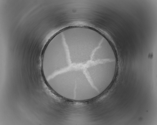 X0000112100839200909151158