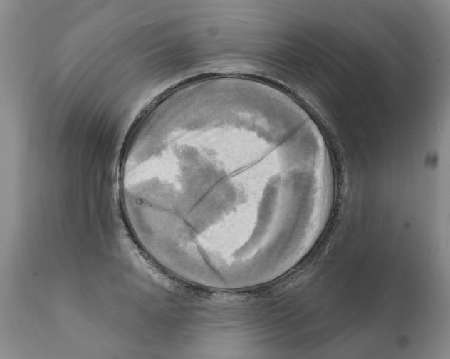 X0000112100840200909151158