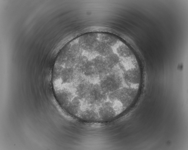 X0000112100841200909151158