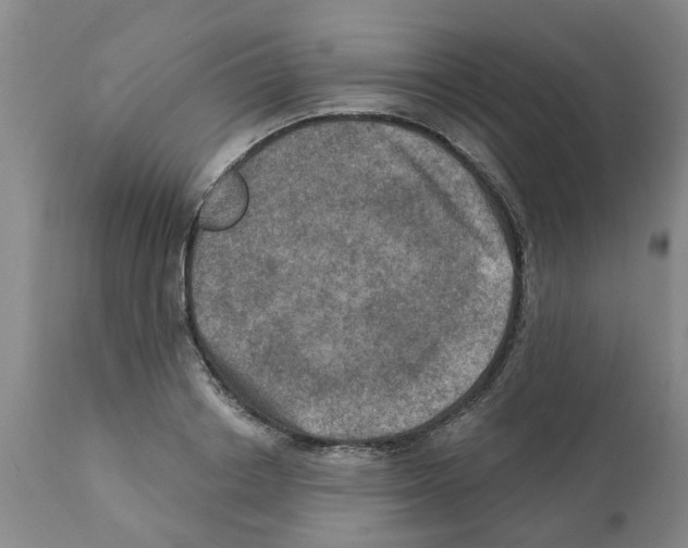 X0000112100842200909151158
