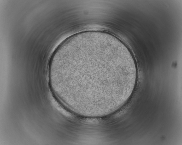 X0000112100843200909151158