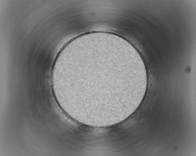 X0000112100848200909151158