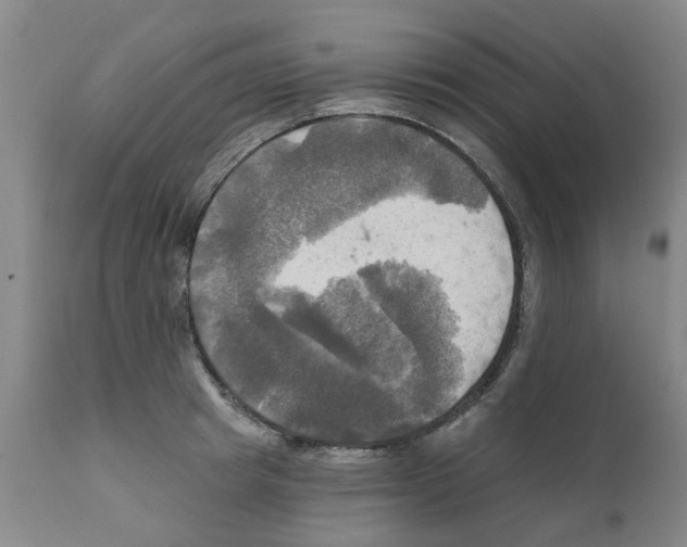 X0000112100849200909151158