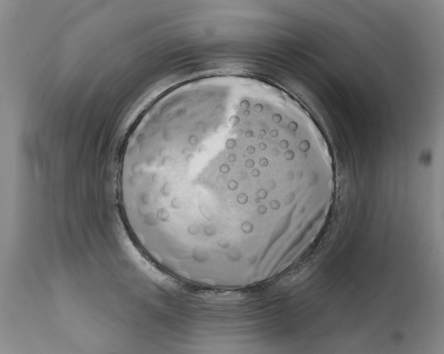 X0000112100851200909151158